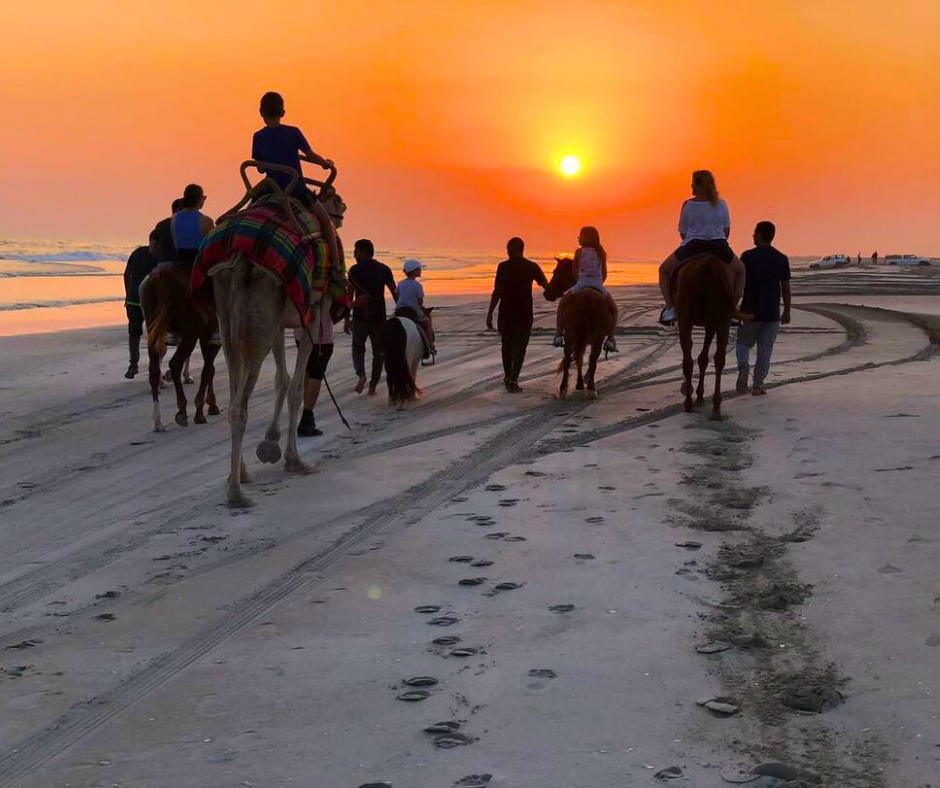 Camel Riding 9