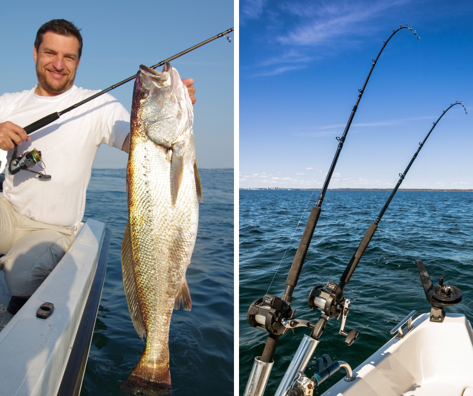 Fishing In Salalah