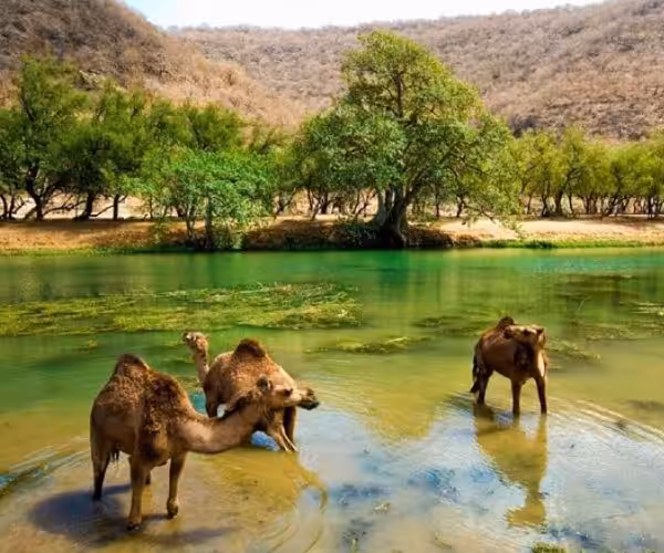 Wadi Darbat