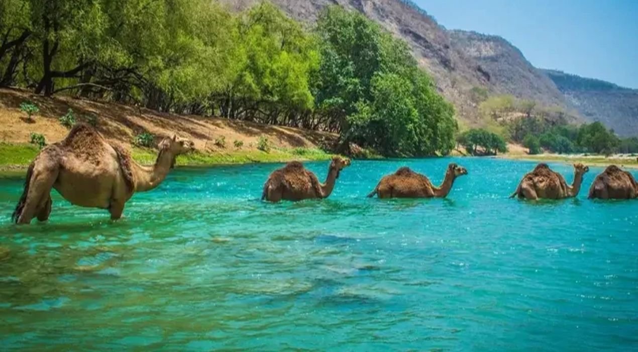 salalah travel packages