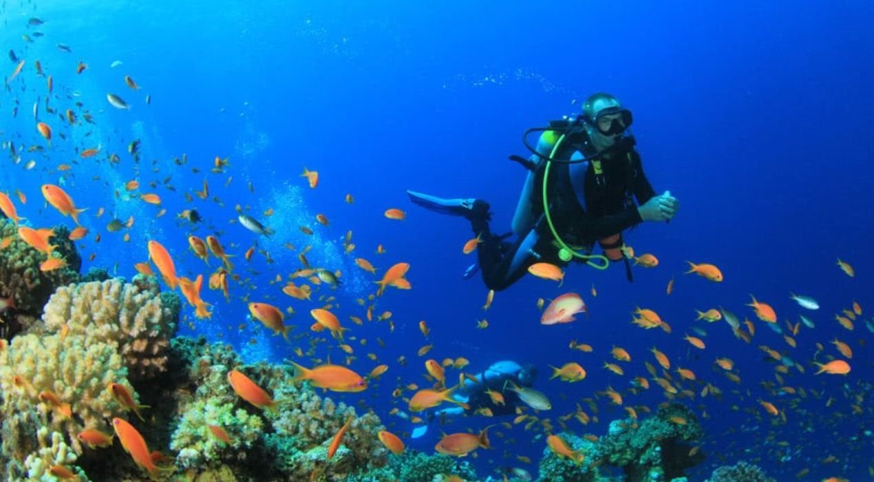 Diving in Salalah