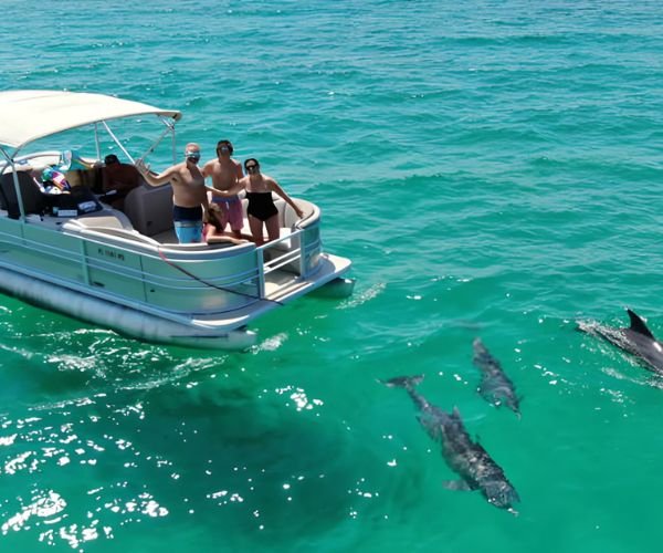 dolphins in Salalah