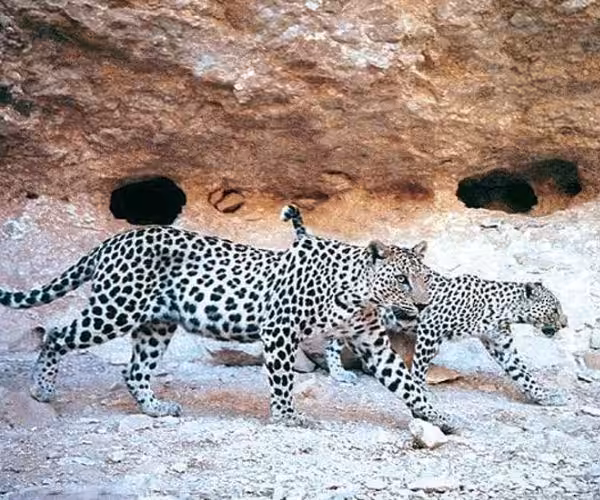  famous natural reserves