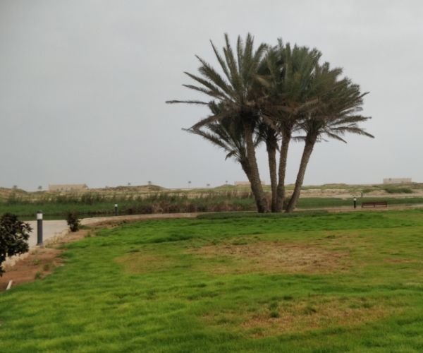  Eastern Salalah