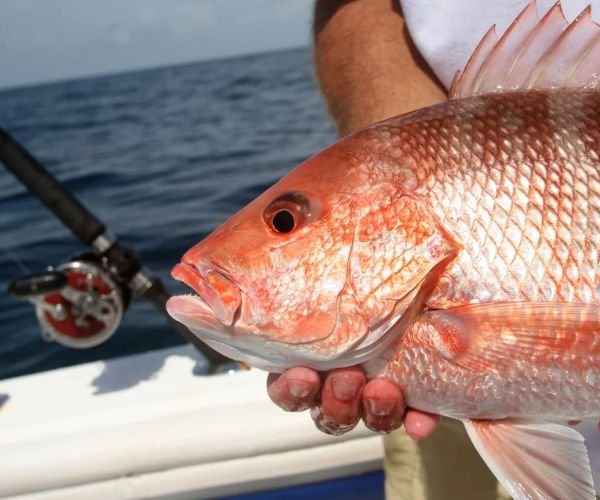 fishing in Salalah