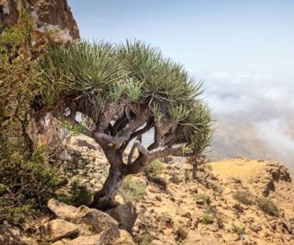 Mountains in Salalah