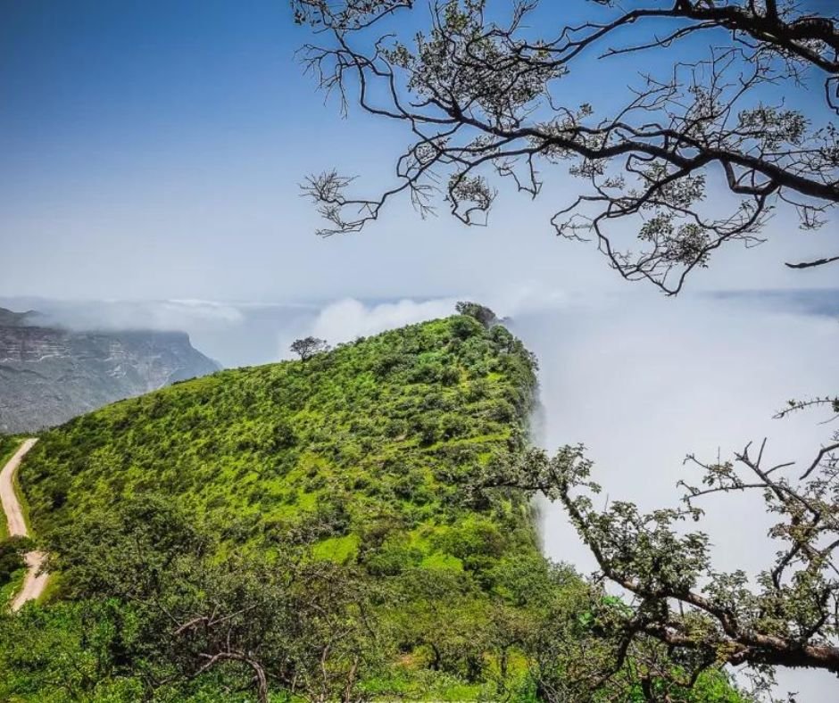 Salalah Khareef Package - 4 Days 3 Nights (5)