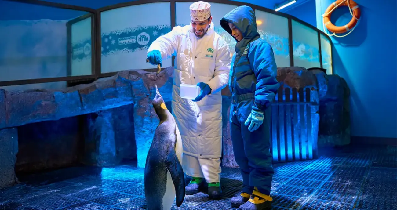 Oman Aquarium Penguin encounters