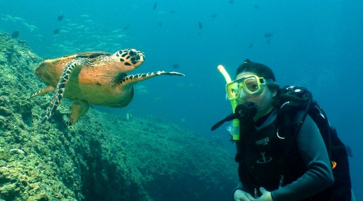 Diving Muscat