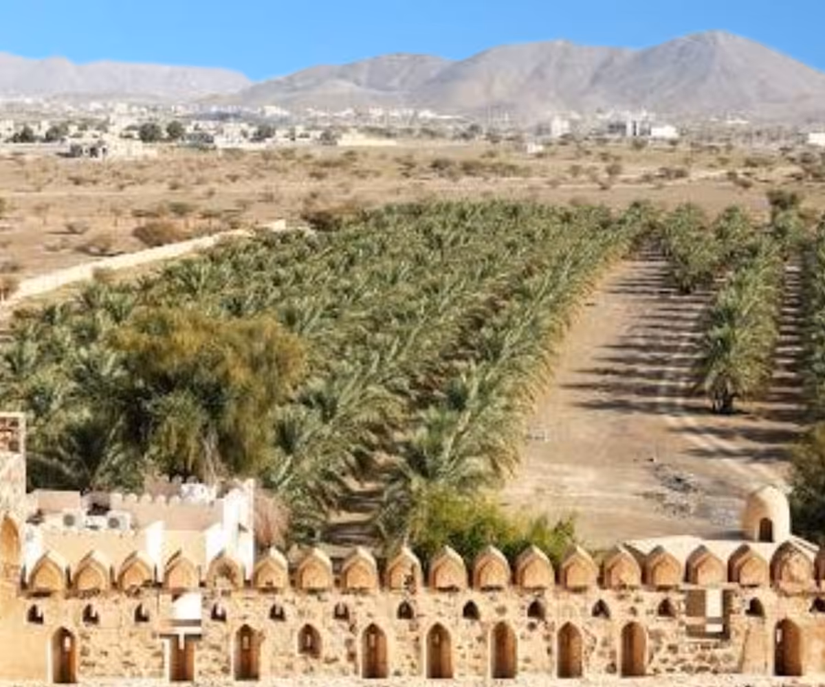 things to do in Nizwa