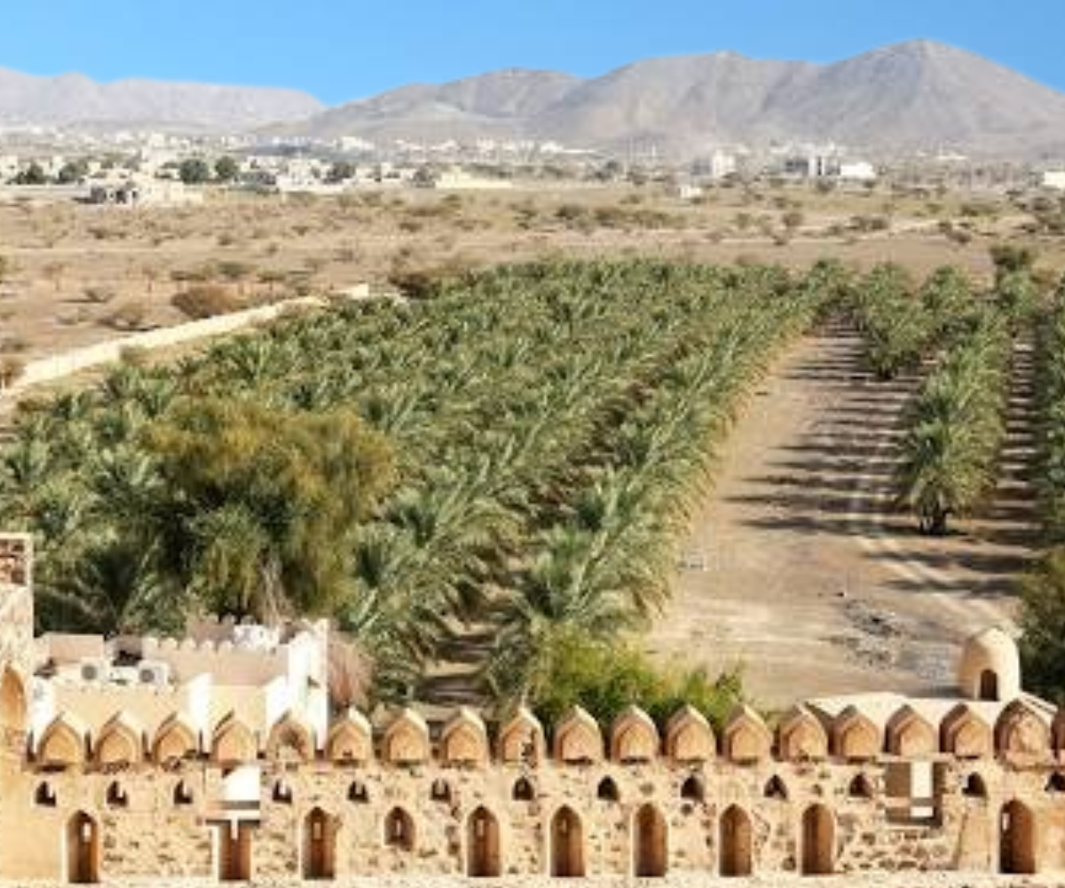 things to do in Nizwa