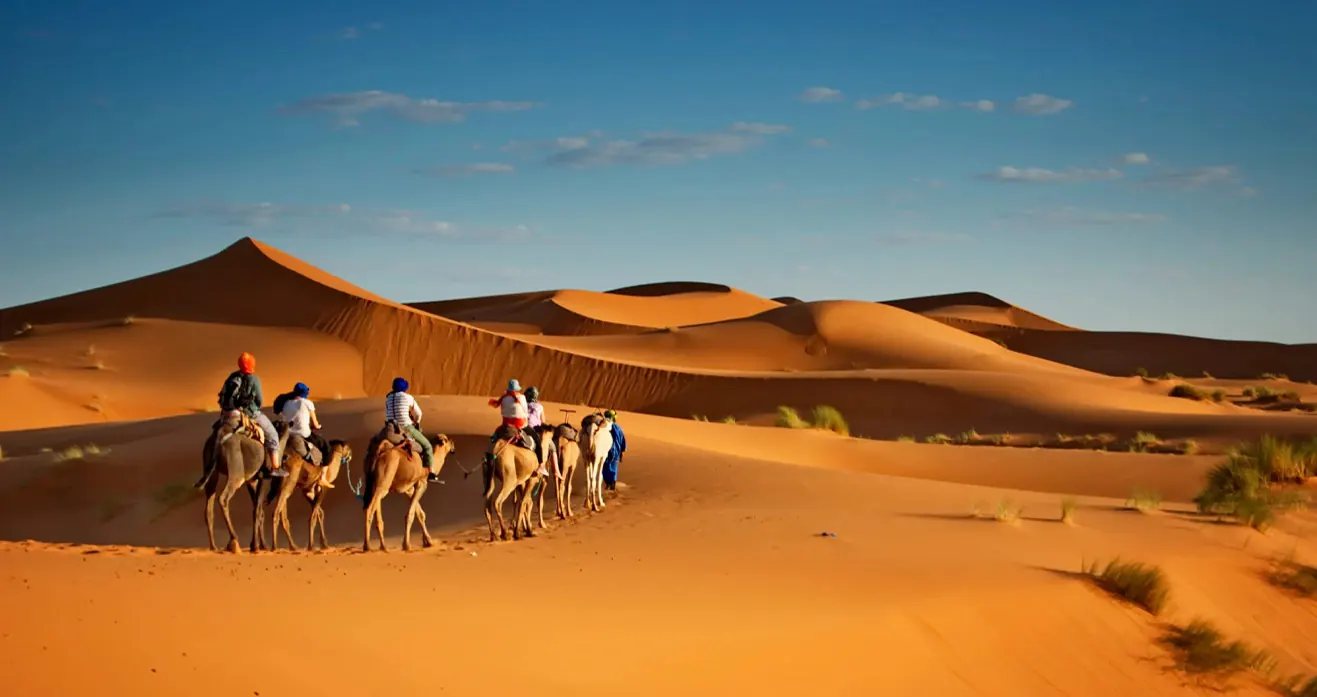 Plan Your Desert Safari in Oman – From Muscat to the Golden Sands