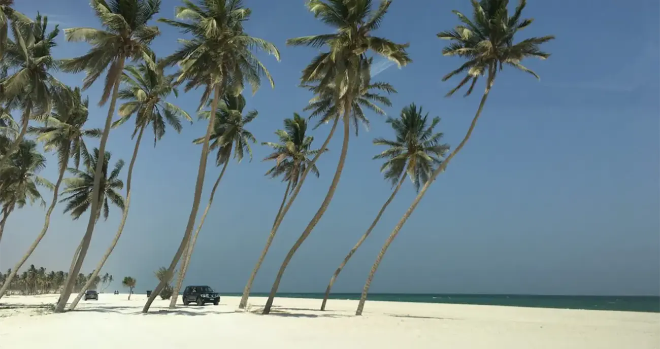 Al Haffa Beach in Salalah Discover Oman’s Coastal Gem