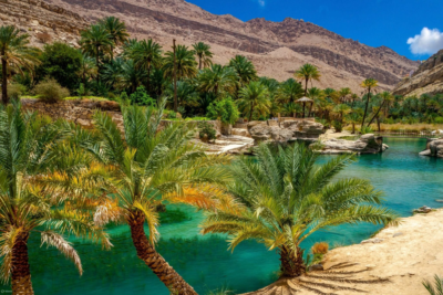 Oman Tour in 8 days