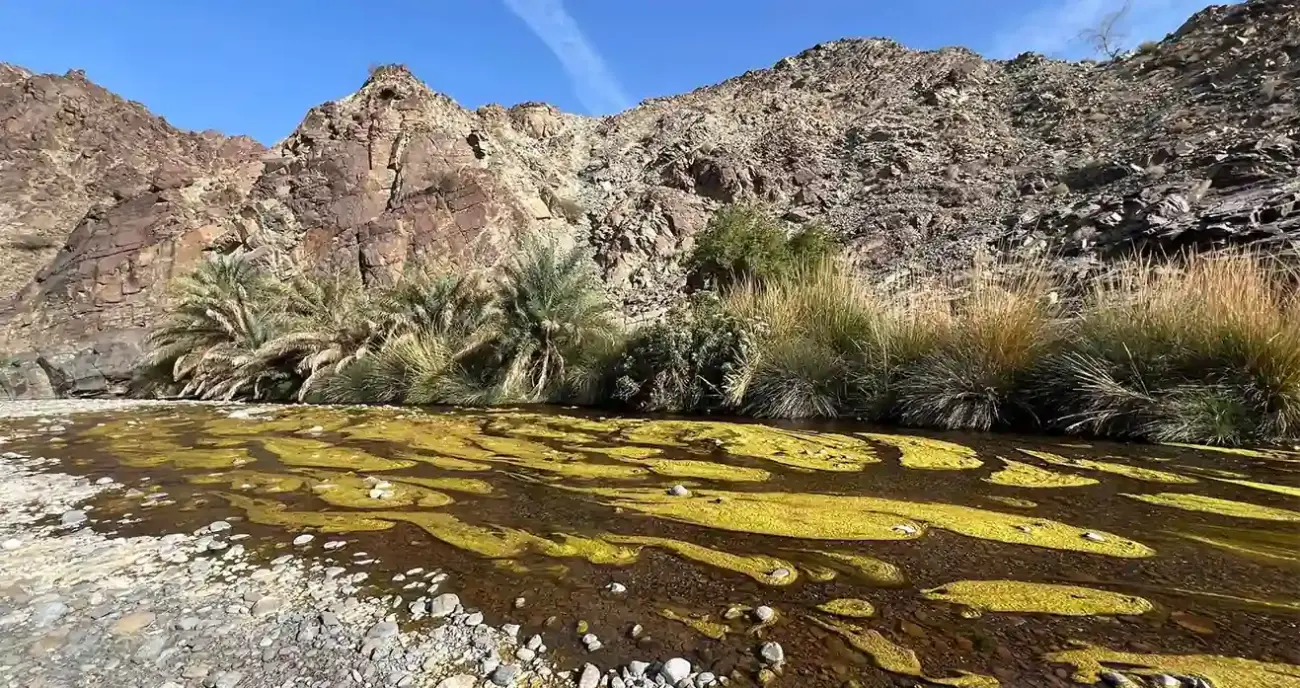 Wadi Abyadh Oman The Hidden Gem of Adventure and Serenity