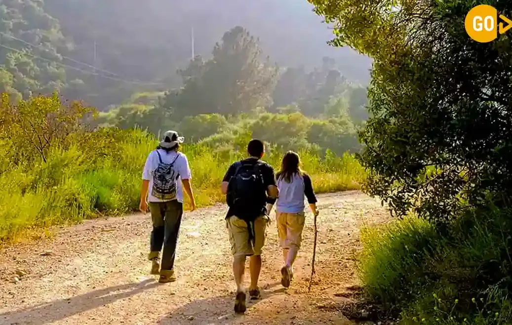 all-inclusive salalah tours packages recommended by salalah expert guides