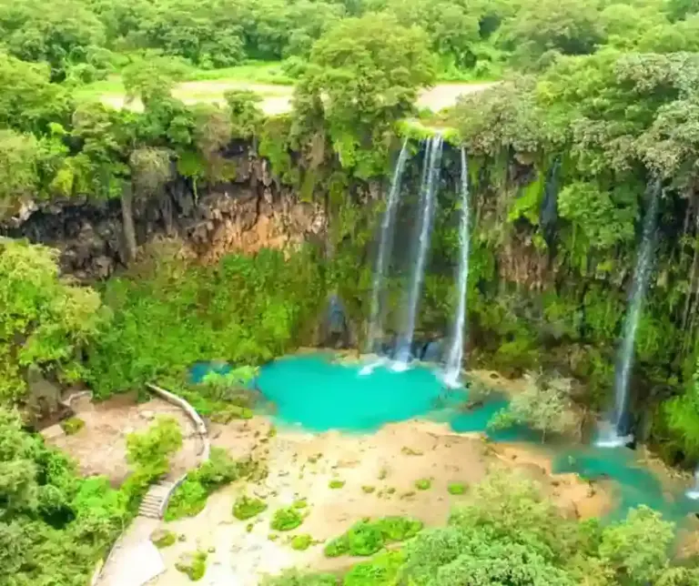 Salalah-Khareef-Season-Tour-Package-Go-Safari-Salalah