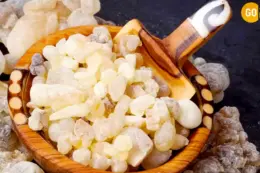 salalah-city-sightseeing-Discover-Salalah