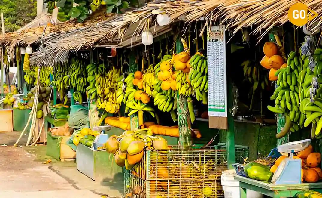 salalah-city-sightseeing-Discover-Salalah