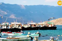 Mirbat Fish Port Oman
