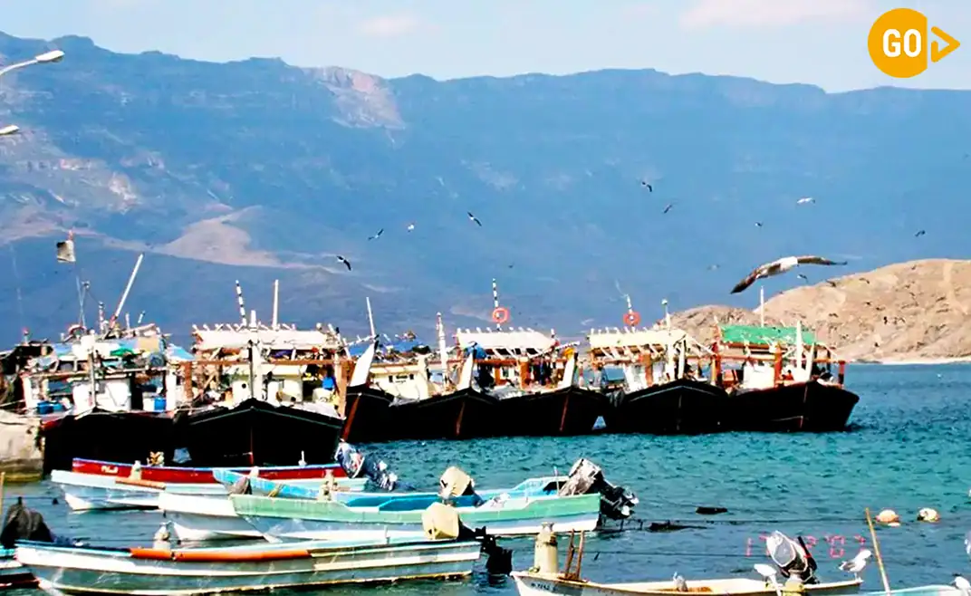 Mirbat Fish Port Oman