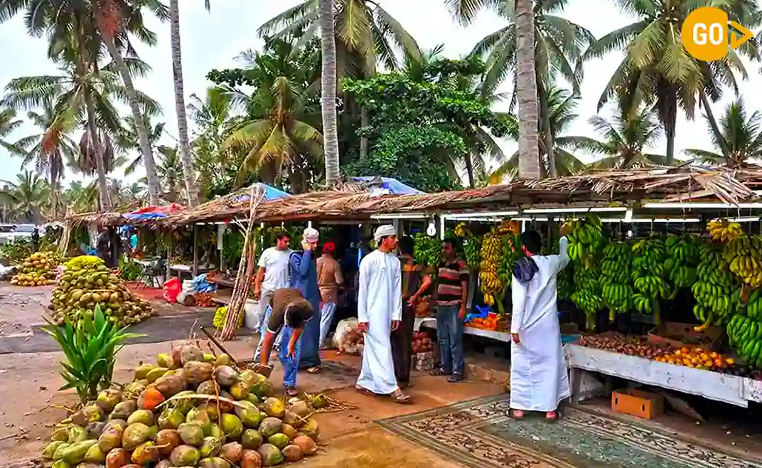 coconut farms