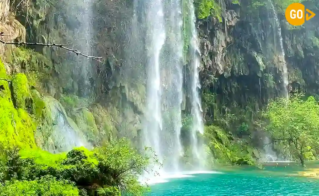 02 days salalah tour see it all in 48 hour Gallery (1)