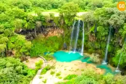 02 days salalah tour see it all in 48 hour Gallery (2)