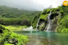 02 days salalah tour see it all in 48 hour Gallery (4)