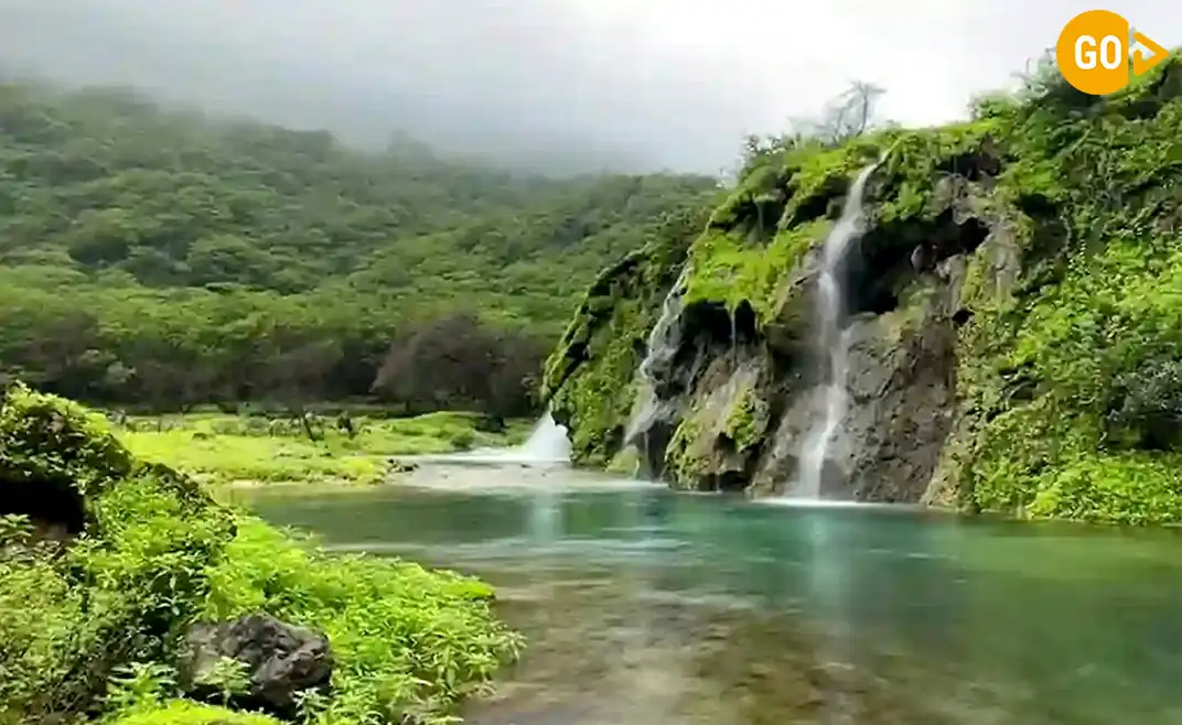 02 days salalah tour see it all in 48 hour Gallery (4)