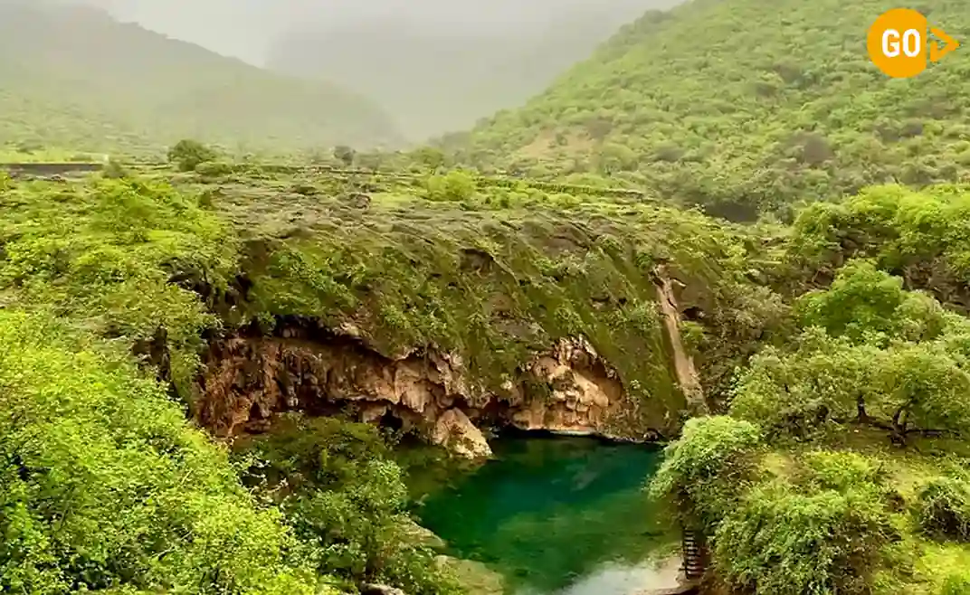 02 days salalah tour see it all in 48 hour Gallery (7)