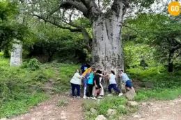 02 days salalah tour see it all in 48 hour Gallery (8)