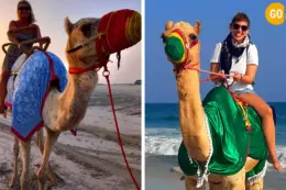 Camel Riding At Salalah Beach Gallery (2)