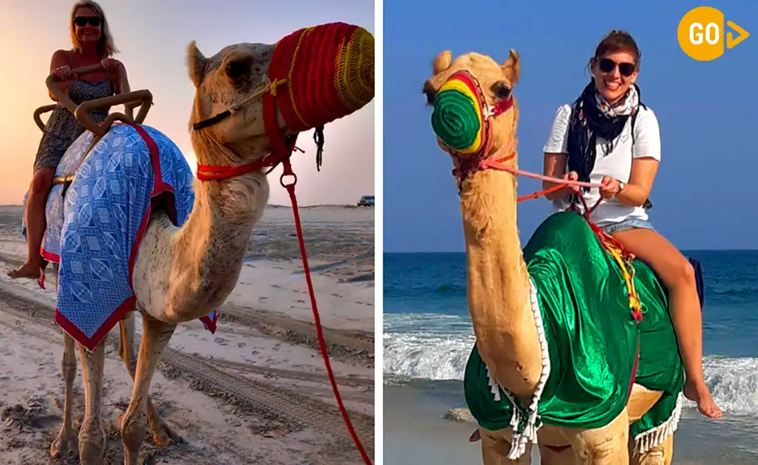 Camel Riding At Salalah Beach Gallery (2)
