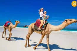 Camel Riding At Salalah Beach