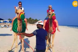 Camel Riding At Salalah Beach Gallery (3)