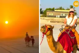 Camel Riding At Salalah Beach Gallery (5)