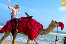 Camel Riding At Salalah Beach Gallery (6)