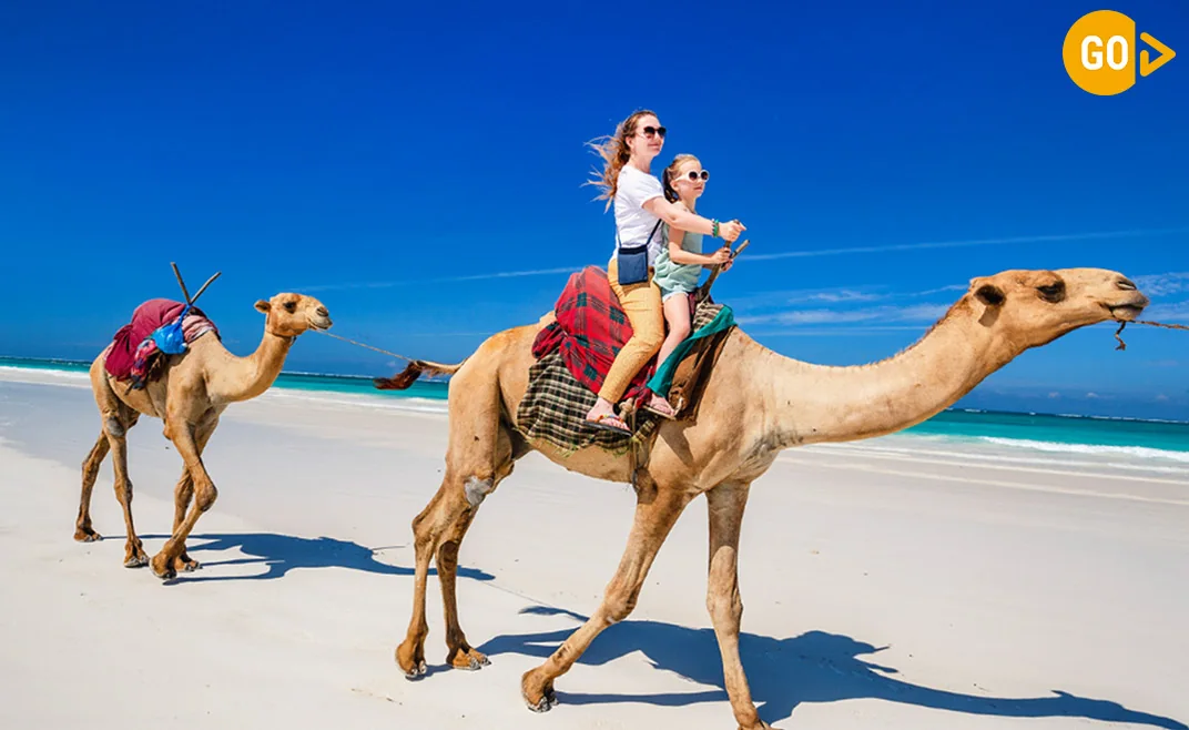 Camel Riding At Salalah Beach Gallery