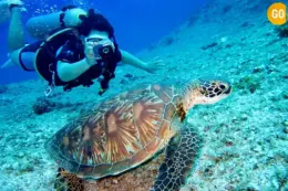 Daymaniyat Islands Boat Trip Gallery Image