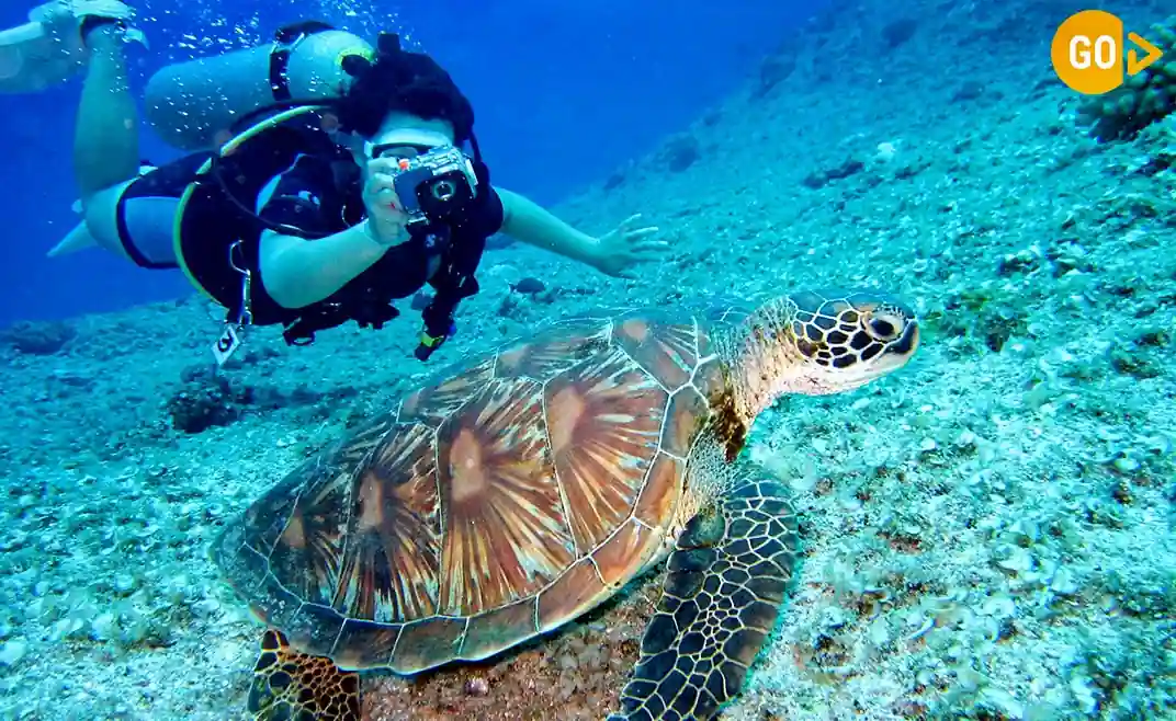 Daymaniyat Islands Boat Trip Gallery Image
