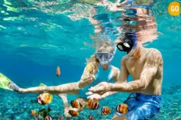 Daymaniyat Islands Boat Trip Gallery Image