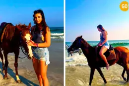 Horse Riding Salalah Beach Gallery