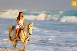 Horse Riding Salalah Beach Gallery