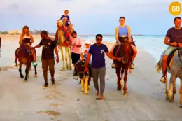 Horse Riding Salalah Beach Gallery