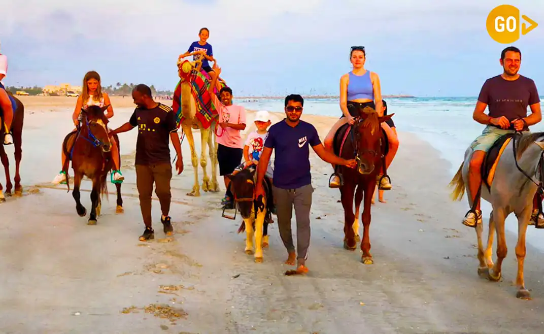 Horse Riding Salalah Beach Gallery