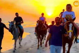 Horse Riding Salalah Beach Gallery