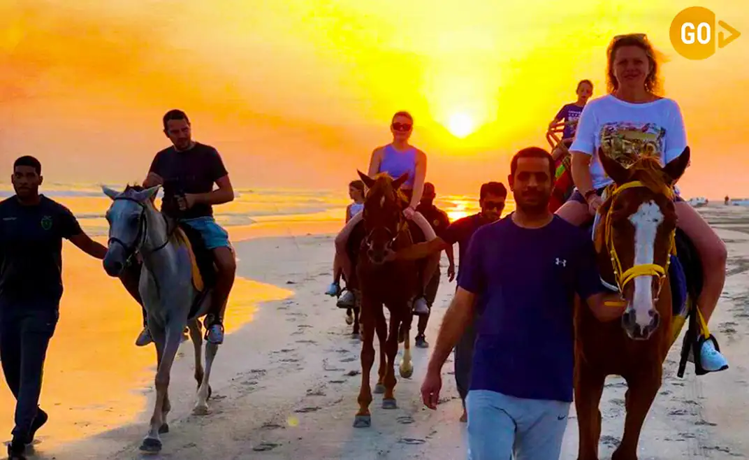 Horse Riding Salalah Beach Gallery