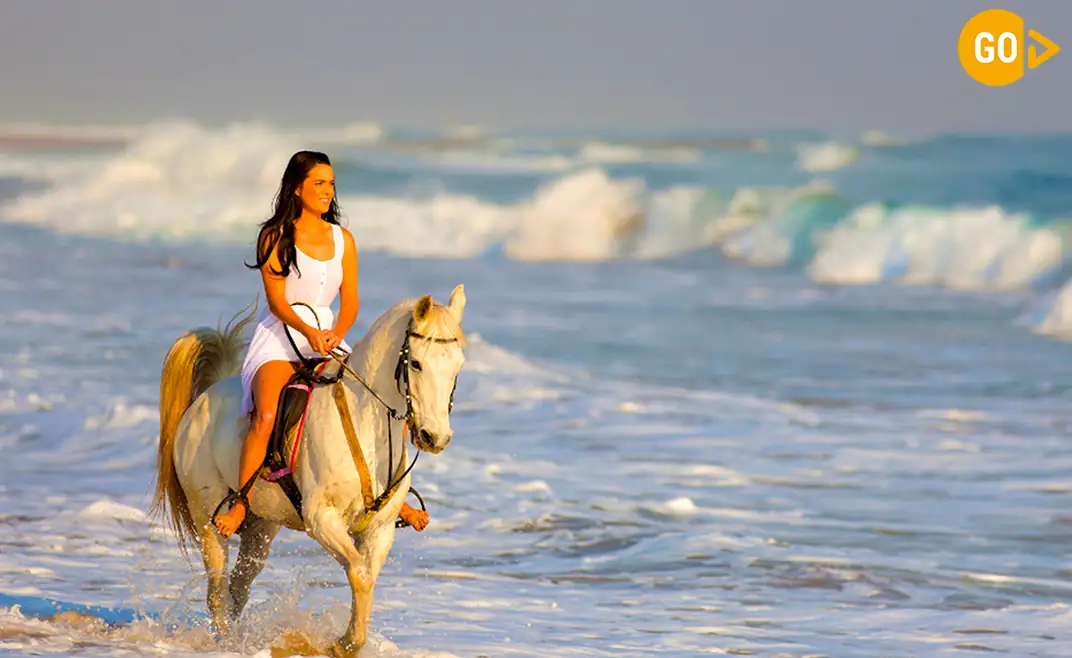 Horse Riding Salalah Beach Gallery