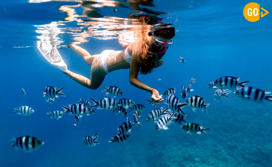 Snorkeling in Salalah Tour Dive Into the Arabian Sea’s Hidden Kingdom! Gallery (1)